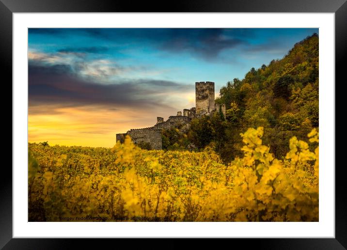 Autumn vineyards under old ruin of Hinterhaus castle in Spitz. Wachau valley. Framed Mounted Print by Sergey Fedoskin