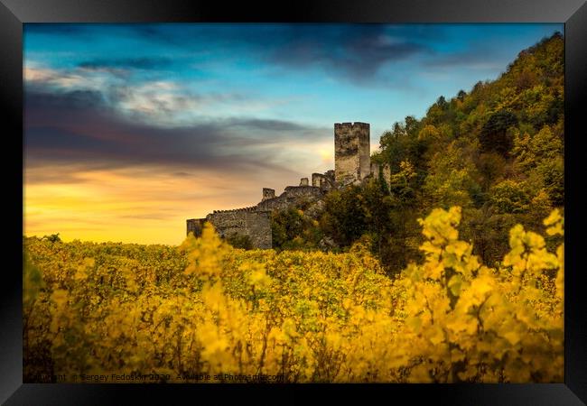 Autumn vineyards under old ruin of Hinterhaus castle in Spitz. Wachau valley. Framed Print by Sergey Fedoskin