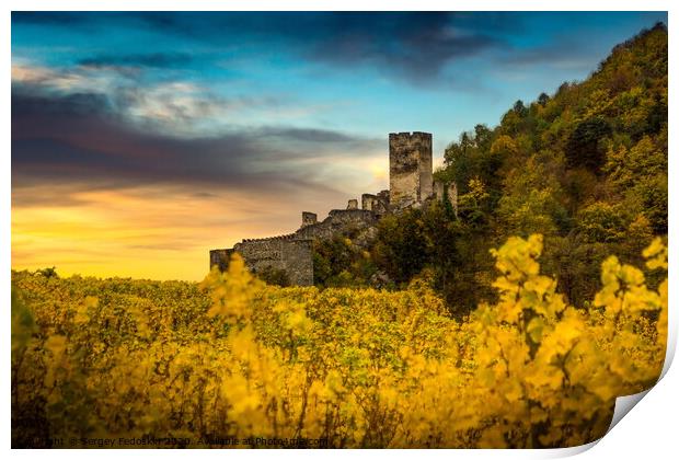 Autumn vineyards under old ruin of Hinterhaus castle in Spitz. Wachau valley. Print by Sergey Fedoskin