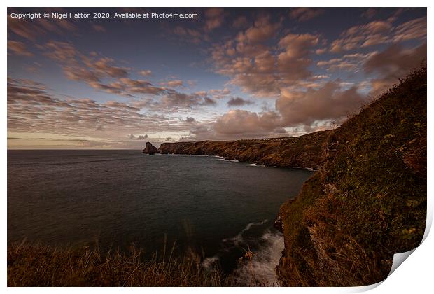 Bossiney Outlook Print by Nigel Hatton