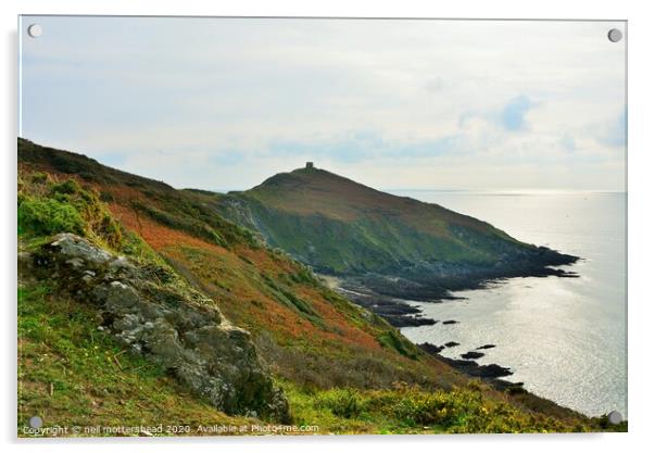 Rame Head, Cornwall Acrylic by Neil Mottershead