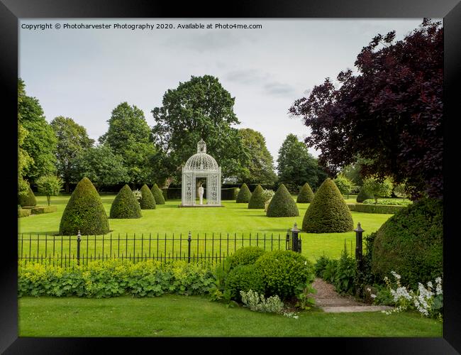 Chenies Manor gardens Parterre, Buckinghamshire. Framed Print by Elizabeth Debenham