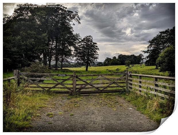 Percy Farm, Northumberland  Print by Aimie Burley