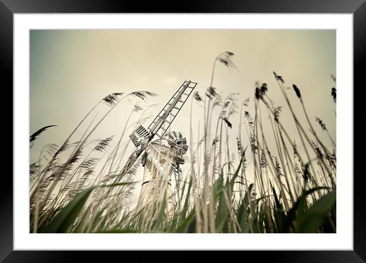 Grass view Framed Mounted Print by Stephen Mole