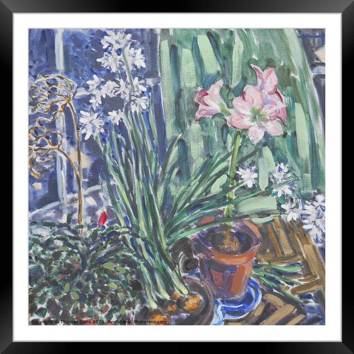 “Narcissus, Amaryllis”, Digital Image of an Oil Pa Framed Mounted Print by Thomas Dans