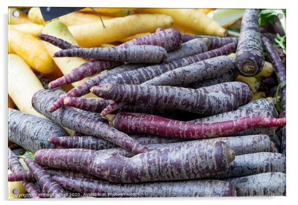 Pile of purple carrots on a market stall. Acrylic by Milton Cogheil
