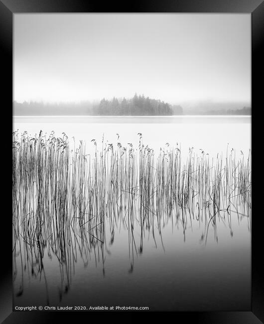 Mystical Reeds at Loch Ard Framed Print by Chris Lauder