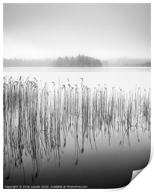 Mystical Reeds at Loch Ard Print by Chris Lauder