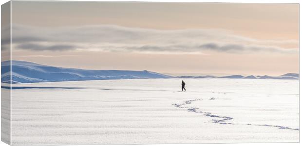 Solitude at North Cape Canvas Print by Wendy Williams CPAGB