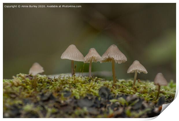 Mossy Mushrooms Print by Aimie Burley