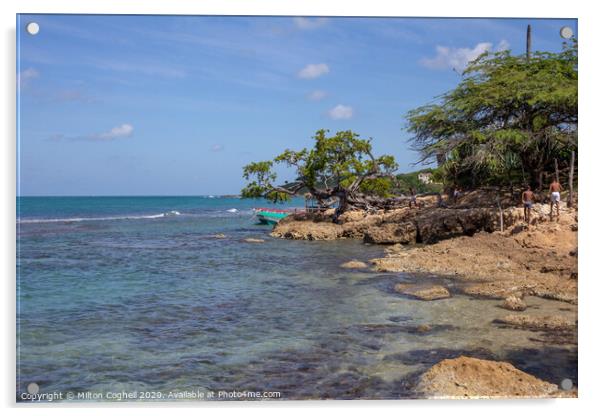 Treasure Beach, Jamaica Acrylic by Milton Cogheil
