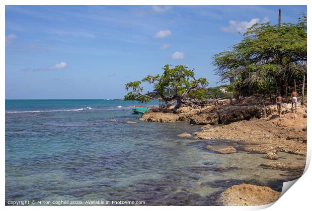 Treasure Beach, Jamaica Print by Milton Cogheil