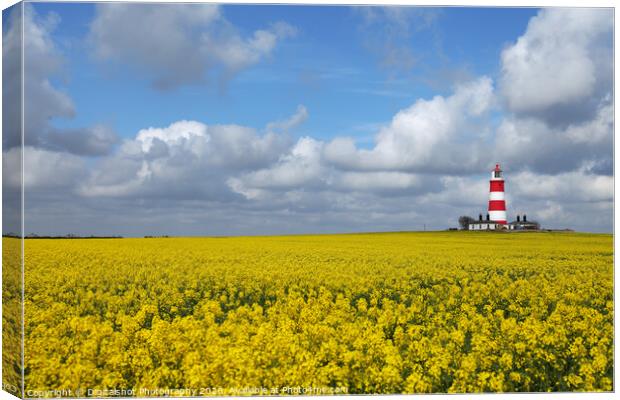 Bright Beacon in Norfolk Fields Canvas Print by Digitalshot Photography