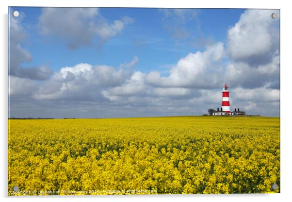 Bright Beacon in Norfolk Fields Acrylic by Digitalshot Photography