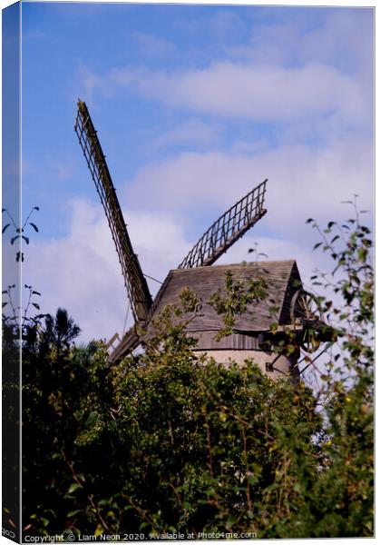 Bidston Windmill Through the Leaves Canvas Print by Liam Neon