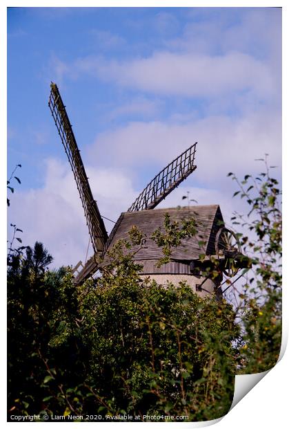 Bidston Windmill Through the Leaves Print by Liam Neon
