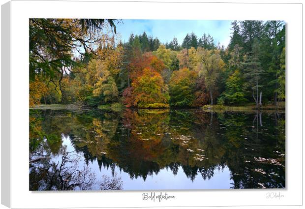 Bold reflections Canvas Print by JC studios LRPS ARPS