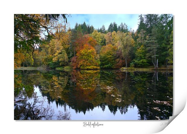 Bold reflections Print by JC studios LRPS ARPS