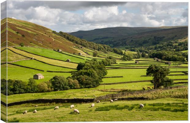 Upper Swaledale, Yorkshire Dales Canvas Print by Andrew Kearton