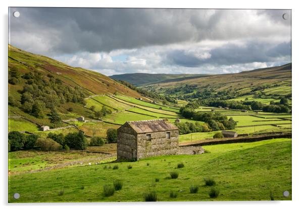 Upper Swaledale, Yorkshire Dales Acrylic by Andrew Kearton