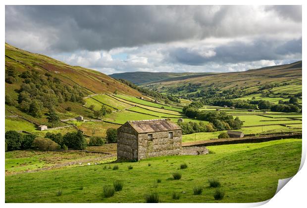 Upper Swaledale, Yorkshire Dales Print by Andrew Kearton