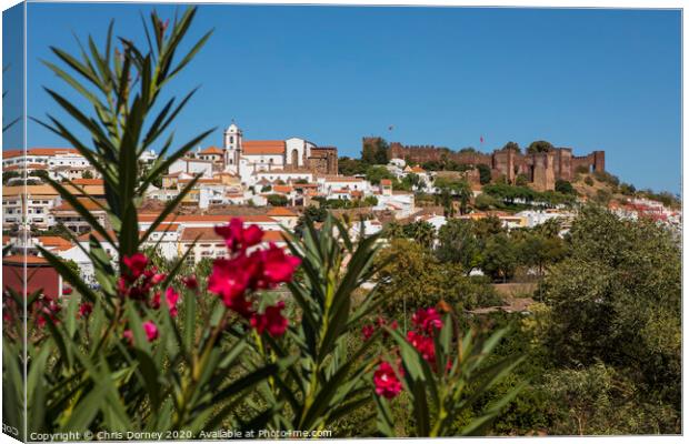 Silves in Portugal Canvas Print by Chris Dorney
