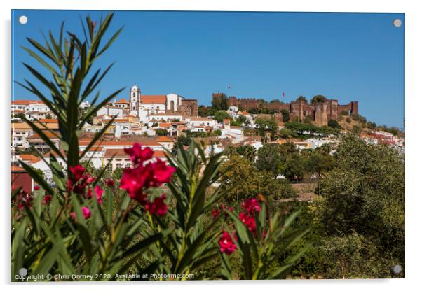 Silves in Portugal Acrylic by Chris Dorney