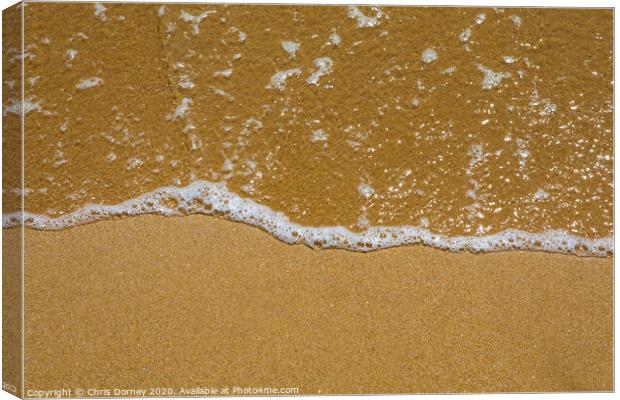 Seawater on the Beach Canvas Print by Chris Dorney