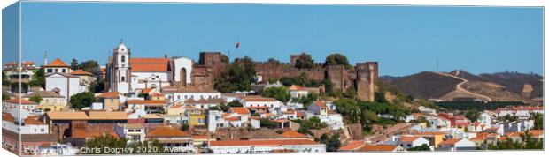 Silves in Portugal Canvas Print by Chris Dorney