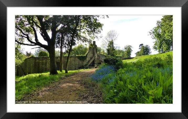 The Secret Garden Framed Mounted Print by Photography by Sharon Long 