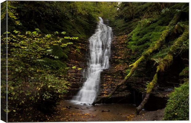 Water-Break-its-Neck landscape Canvas Print by Leighton Collins