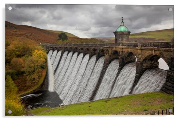 The dam at Craig Goch Acrylic by Leighton Collins