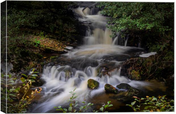A small waterfall in Rhayader Canvas Print by Leighton Collins