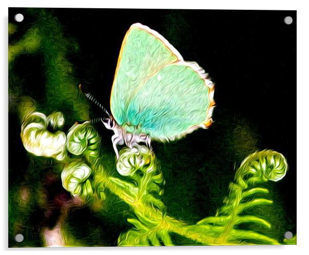 Green Hairstreak Butterfly Acrylic by val butcher