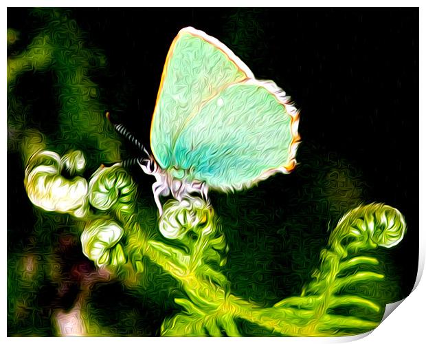 Green Hairstreak Butterfly Print by val butcher