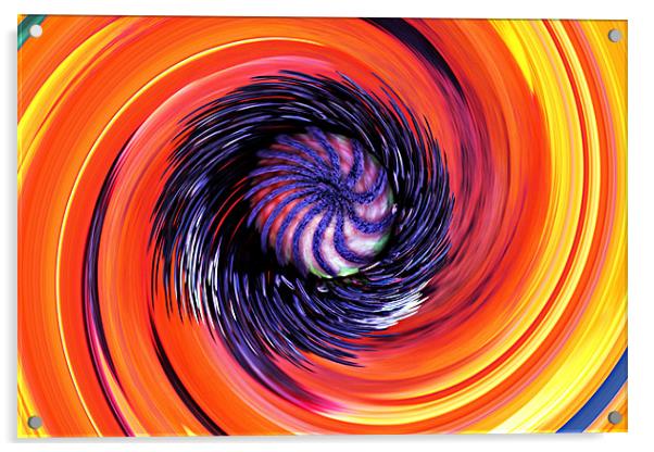 Poppy Swirl Acrylic by kelly Draper