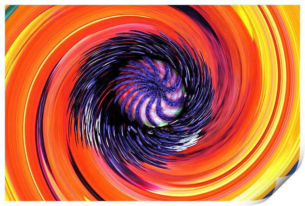 Poppy Swirl Print by kelly Draper