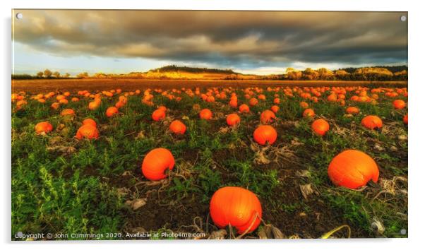 Cotswold Pumpkins Acrylic by John Cummings