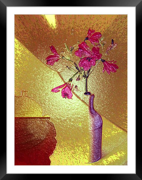 golden light Framed Mounted Print by joseph finlow canvas and prints