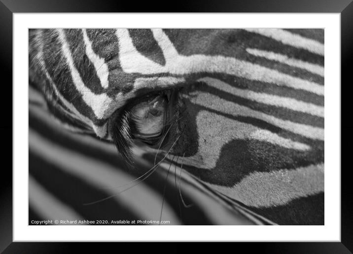 Abstract Zebra Framed Mounted Print by Richard Ashbee
