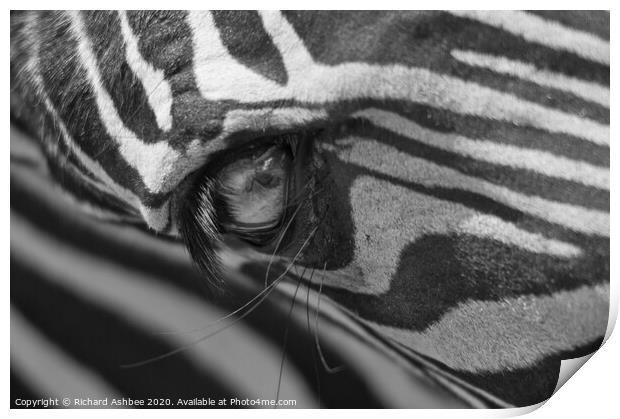 Abstract Zebra Print by Richard Ashbee
