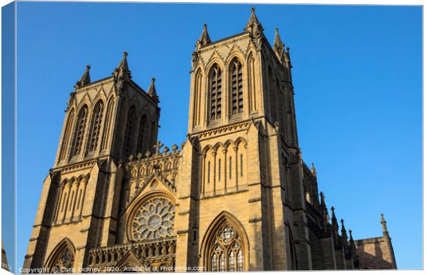 Bristol Cathedral in England Canvas Print by Chris Dorney