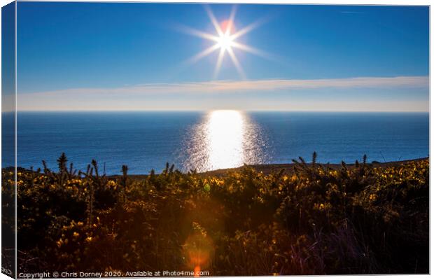 English Channel viewed from the Cliffs in East Sussex Canvas Print by Chris Dorney