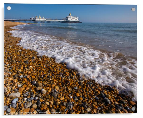 Eastbourne Beach and Pier Acrylic by Chris Dorney