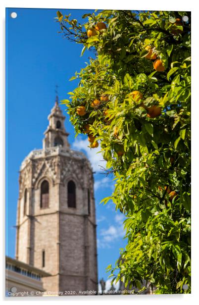Orange Trees in Valencia Acrylic by Chris Dorney