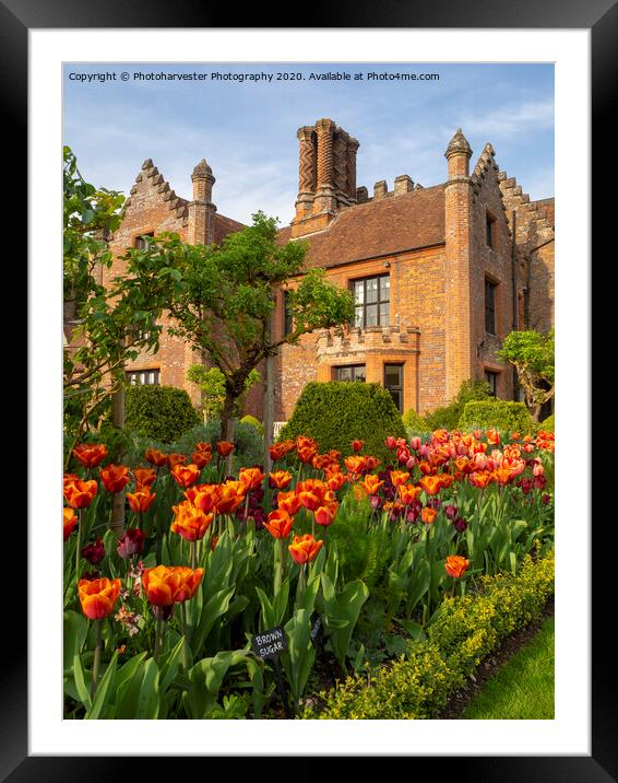 Chenies Manor Gardens in April Framed Mounted Print by Elizabeth Debenham