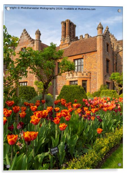 Chenies Manor Gardens in April Acrylic by Elizabeth Debenham