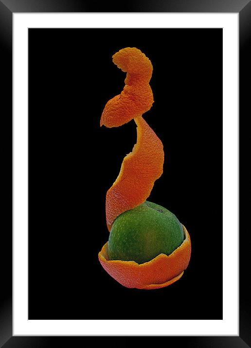 Fruit Framed Mounted Print by Doug McRae
