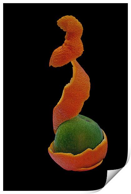 Fruit Print by Doug McRae