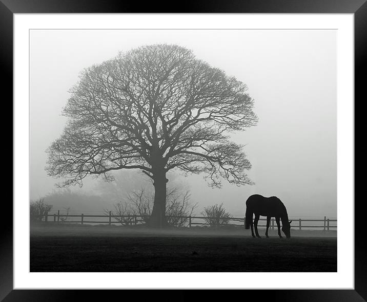 Horse in the Mist Framed Mounted Print by Paul Appleby